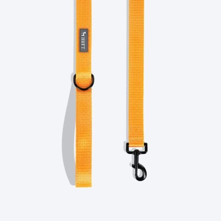 HUFT Basics Dog Leash - Yellow