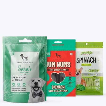 HUFT Popeye's Picks - Power - Packed Spinach Treats Combo