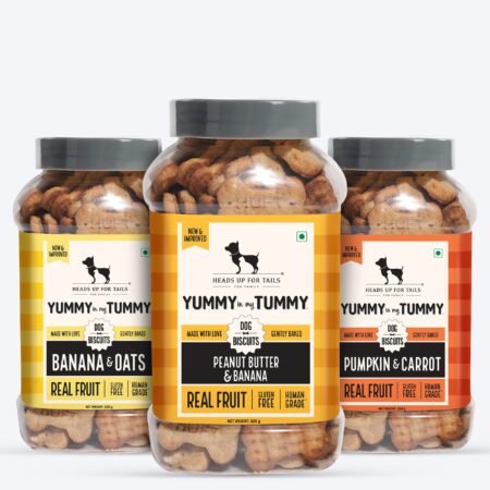 HUFT Yummy In My Tummy Vegetarian Gluten Free Dog Biscuits Combo - Pumpkin & Carrots, Peanut Butter & Banana, Banana & Oats - Pack of 3 (320 gm x 3)