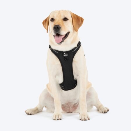 HUFT Xplorers Harness For Dog - Black