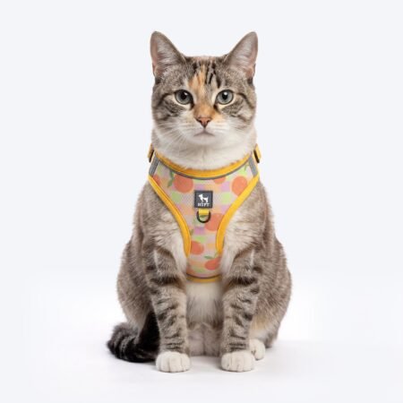 HUFT Easy Breezy Step-In Harness & Leash Set For Cat - Orange