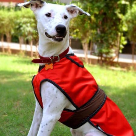 HUFT Gladiator 2-in-1 Dog Jacket